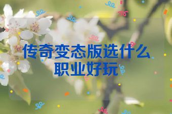 传奇变态版选什么职业好玩