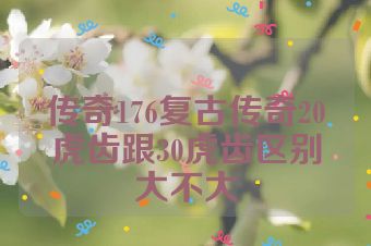 传奇176复古传奇20虎齿跟30虎齿区别大不大