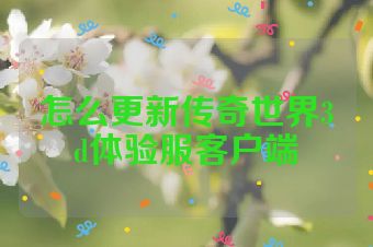 怎么更新传奇世界3d体验服客户端