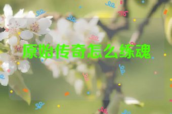 原始传奇怎么练魂