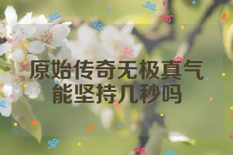 原始传奇无极真气能坚持几秒吗