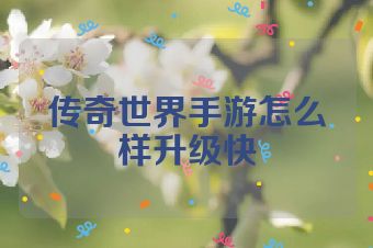 传奇世界手游怎么样升级快