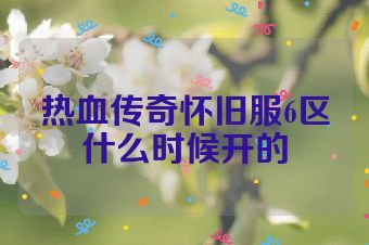 热血传奇怀旧服6区什么时候开的