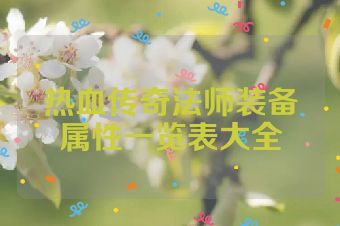 热血传奇法师装备属性一览表大全