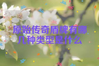 原始传奇盾牌有哪几种类型是什么