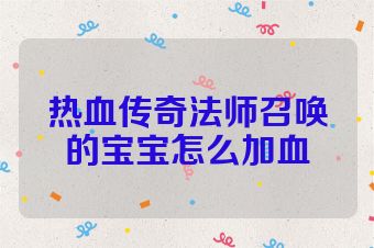 热血传奇法师召唤的宝宝怎么加血