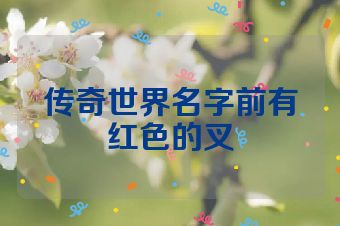 传奇世界名字前有红色的叉