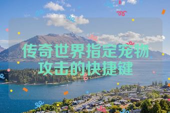 传奇世界指定宠物攻击的快捷键