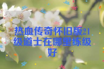 热血传奇怀旧版21级道士在哪里练级好