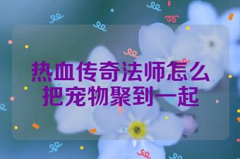 热血传奇法师怎么把宠物聚到一起