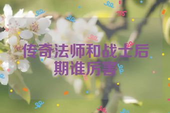 传奇法师和战士后期谁厉害