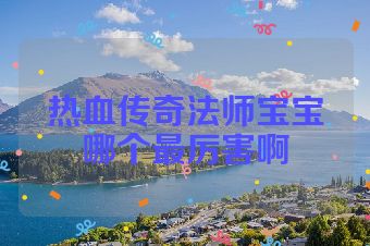 热血传奇法师宝宝哪个最厉害啊