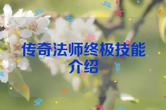 传奇法师终极技能介绍