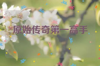 原始传奇第一高手