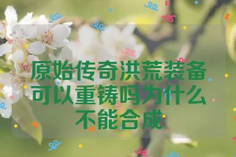 原始传奇洪荒装备可以重铸吗为什么不能合成