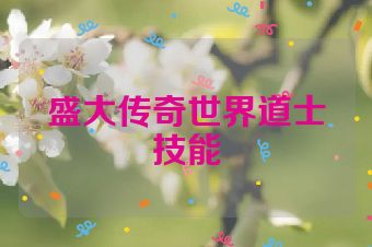 盛大传奇世界道士技能
