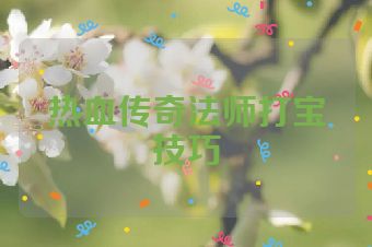 热血传奇法师打宝技巧