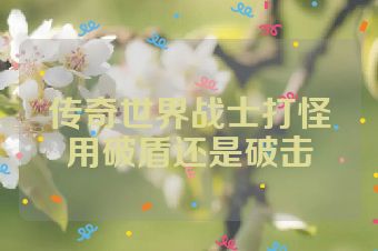 传奇世界战士打怪用破盾还是破击