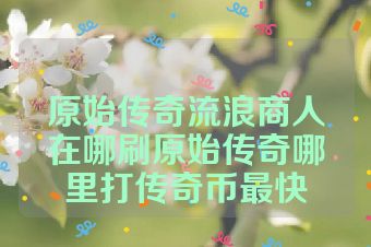 原始传奇流浪商人在哪刷原始传奇哪里打传奇币最快