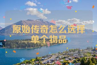 原始传奇怎么选择单个物品