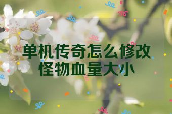 单机传奇怎么修改怪物血量大小
