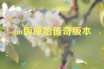gm版原始传奇版本