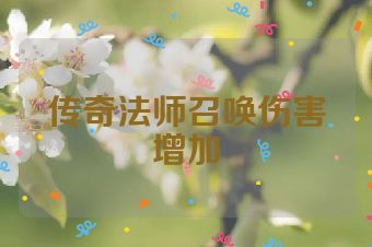 传奇法师召唤伤害增加