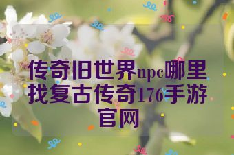 传奇旧世界npc哪里找复古传奇176手游官网