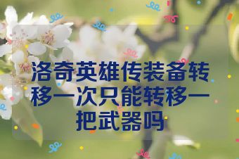 洛奇英雄传装备转移一次只能转移一把武器吗