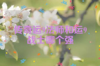 传奇运9法师和运9战士哪个强