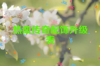 热血传奇配饰升级表