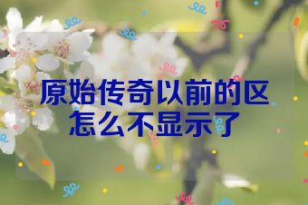 原始传奇以前的区怎么不显示了