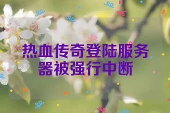 热血传奇登陆服务器被强行中断