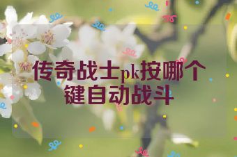 传奇战士pk按哪个键自动战斗