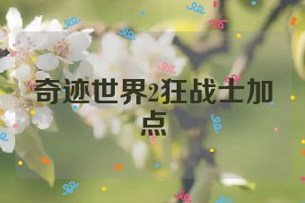 奇迹世界2狂战士加点
