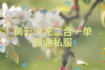 风云火龙二合一单职业私服