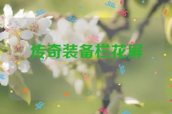 传奇装备栏花屏