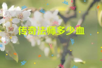 传奇法师多少血