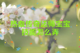 热血传奇法师宝宝技能怎么弄