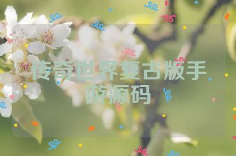 传奇世界复古版手游源码