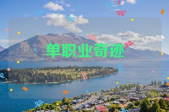 单职业奇迹