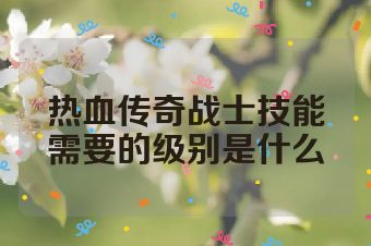 热血传奇战士技能需要的级别是什么