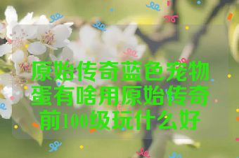 原始传奇蓝色宠物蛋有啥用原始传奇前100级玩什么好
