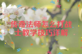 传奇法师怎么打战士教学技巧详解