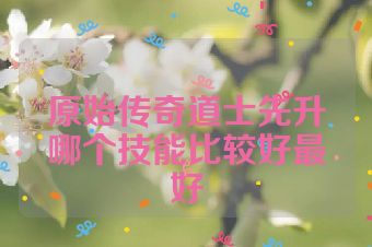 原始传奇道士先升哪个技能比较好最好