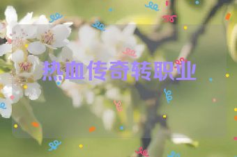 热血传奇转职业