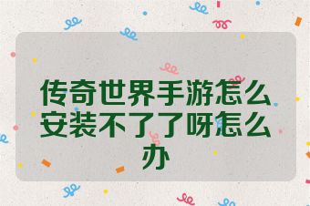 传奇世界手游怎么安装不了了呀怎么办