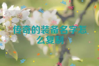 传奇的装备名字怎么复制