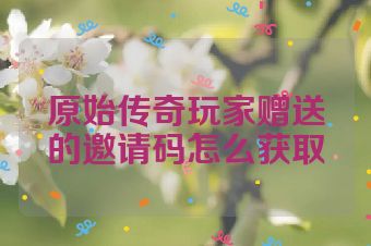 原始传奇玩家赠送的邀请码怎么获取
