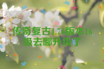 传奇复古1.76版本16级去哪升级了